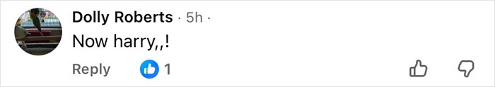 Comment on social media by Dolly Roberts saying Now harry with a like icon, thumbs up and thumbs down icons visible below.