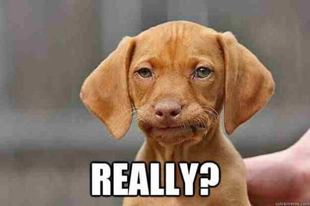 annoyed-really-meme-1.jpg