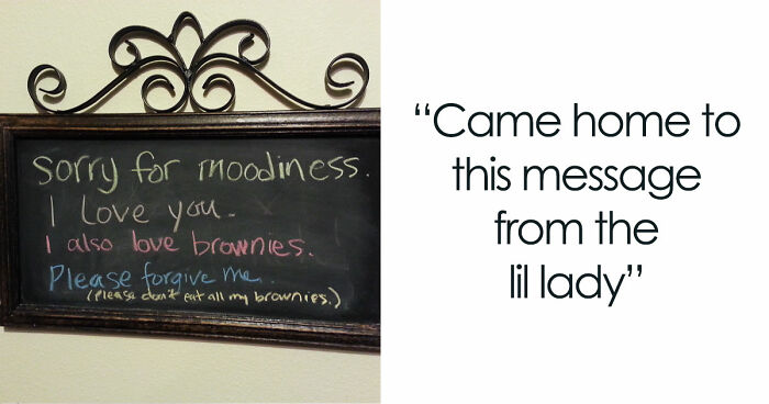 51 Unhinged And Hilarious Apology Notes