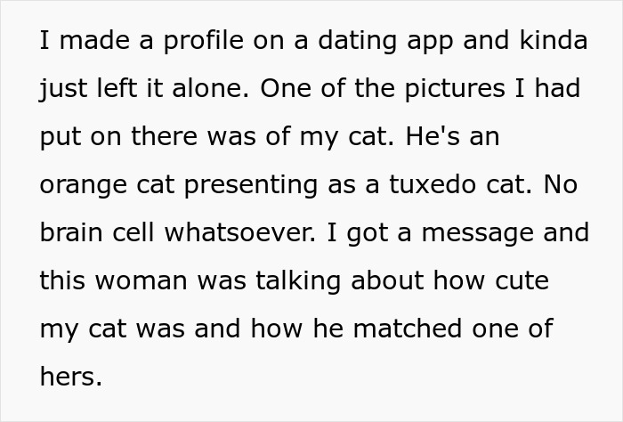 Text conversation about a dating app profile featuring a cat, relating to a dad accused of horrific things by his kids.