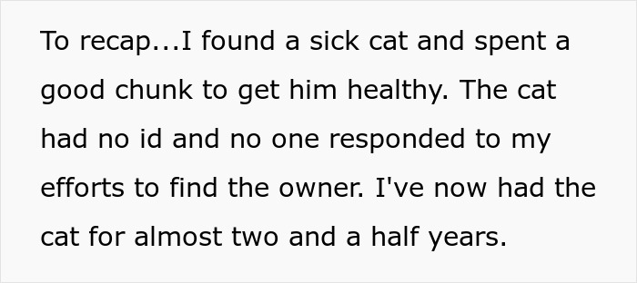 Text excerpt describing a lost cat&rsquo;s recovery and care while efforts to find the original owner fail over two and a half years.