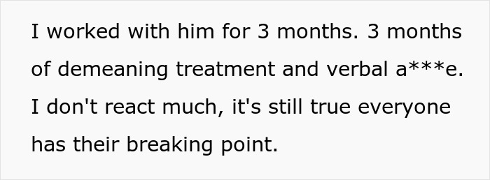 Text excerpt describing workplace bullying and a person's breaking point after enduring months of mistreatment.