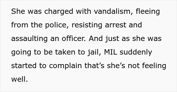 Police officer arrests his own mother-in-law for violent behavior during family drama, involving vandalism and resisting arrest. Police officer arrests his own mother-in-law for violent behavior during family drama, involving vandalism and resisting arrest.