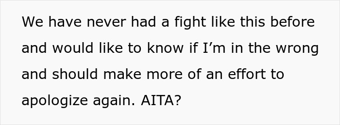Text discussing a serious fight involving a roommate, boyfriend, and vacation drama, seeking advice on apologizing.