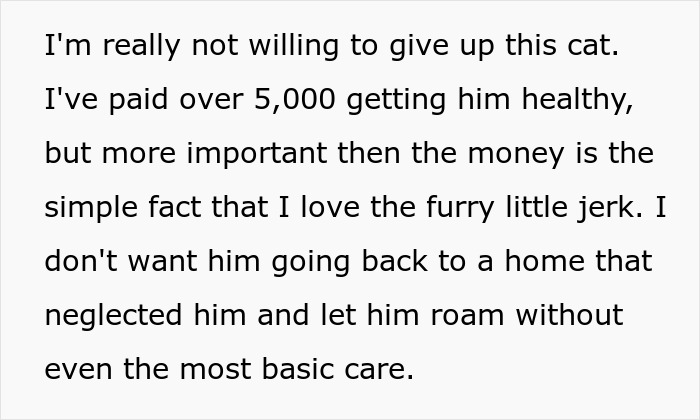 Alt text: Text expressing refusal to give up a lost cat who went from street survivor to family royalty despite demands from a scammy owner.