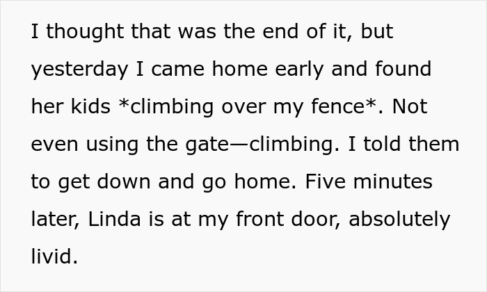 Neighbor labeled child-hating hermit finds Karen&rsquo;s kids climbing over fence, refusing yard access and causing conflict.