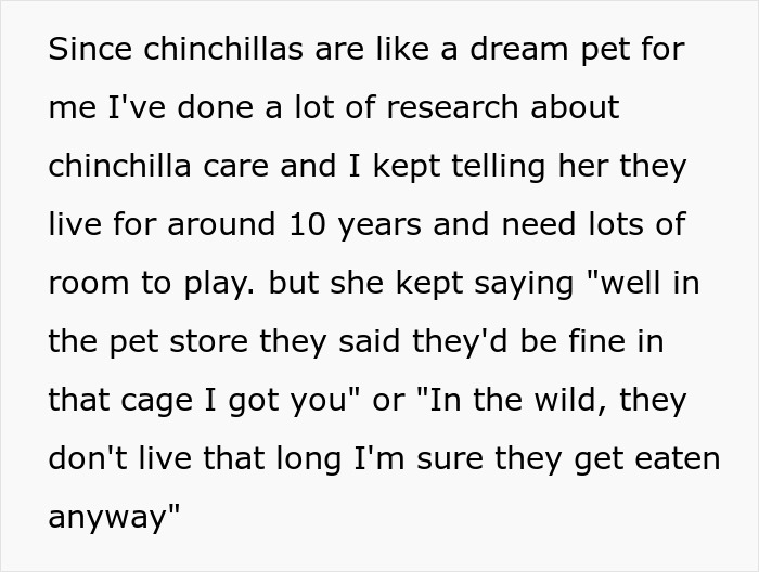 Teen caring for gifted chinchillas, researching proper chinchilla care and ensuring a good living environment.