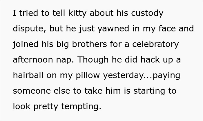 Text about a lost cat's custody dispute, showing the cat as a street survivor turned family royalty facing a scammy owner demand.