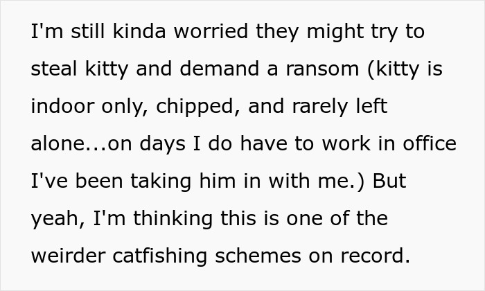 Text discussing worry about a lost cat being stolen and a possible ransom demand in a strange catfishing scheme.