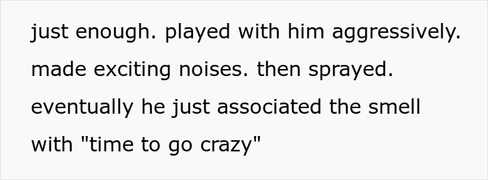 Text excerpt about MIL running to the priest after son-in-law&rsquo;s revenge shown on a plain background with black font.