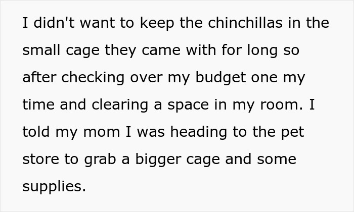 Teen caring for gifted chinchillas sets up bigger cage and proper supplies, facing mom&rsquo;s frustration over not settling.