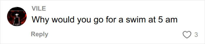 Comment on social media platform discussing unusual timing for a swim at 5 am, relating to Canadian teen and dingoes case.