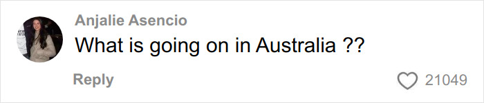 Comment on social media by Anjalie Asencio asking What is going on in Australia, related to autopsy results and Canadian teen found among dingoes case.