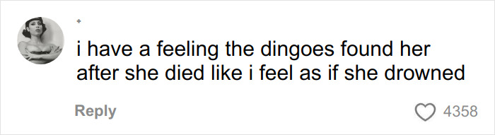 Comment expressing a theory about the Canadian teen&rsquo;s death, relating to the autopsy results and dingoes.