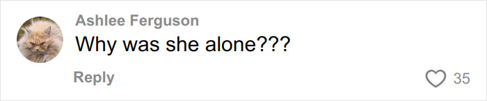 Comment asking why the Canadian teen was alone, related to autopsy results and dingo case clues.