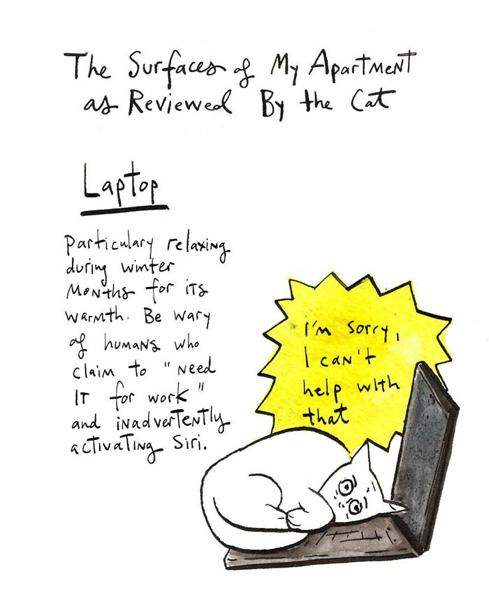 Cat curled up on laptop in a comic by Dana Jeri Maier, highlighting humor in modern life and technology use.