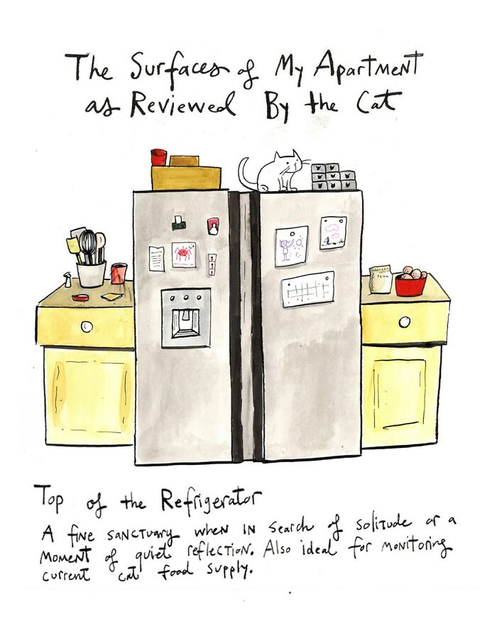 Cat curled up on laptop in a comic by Dana Jeri Maier, highlighting humor in modern life and technology use.