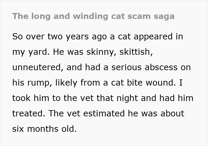 Text excerpt about a lost cat discovered injured and skittish, highlighting its transformation from street survivor to family royalty.