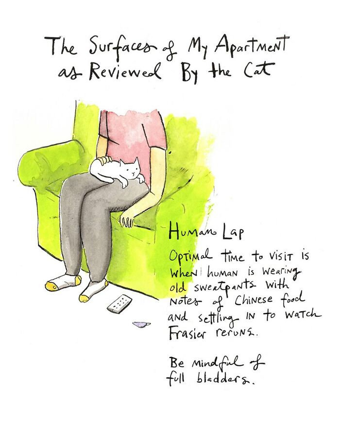 Cat curled up on laptop in a comic by Dana Jeri Maier, highlighting humor in modern life and technology use.