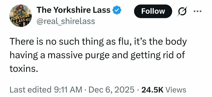 Tweet from The Yorkshire Lass claiming flu doesn't exist and describing it as a body purge and toxin removal, spreading medical misinformation.