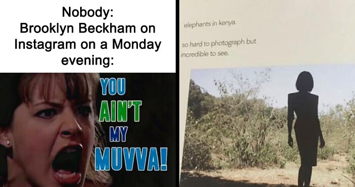 52 Of The Best Reactions And Memes To The Beckham Family Drama