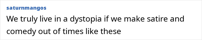 Comment on social media discussing satire and comedy related to Michael Che's controversial ICE joke on SNL. Comment on social media discussing satire and comedy related to Michael Che's controversial ICE joke on SNL.