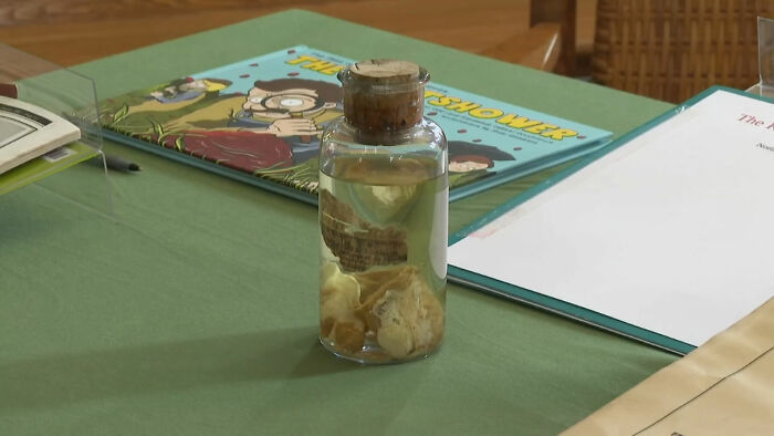 Glass jar with preserved specimen on a table, part of exhibits related to the biggest unsolved cases worldwide