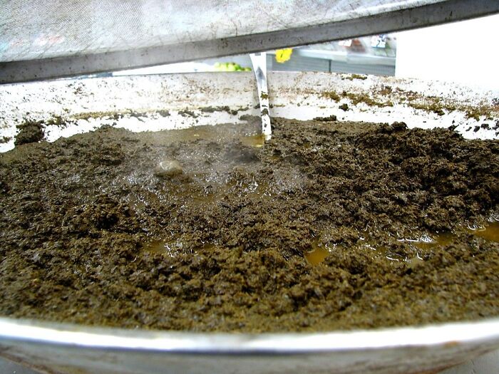 Close-up of a large container filled with a brown, mushy local delicacy representing disgusting food from around the world.