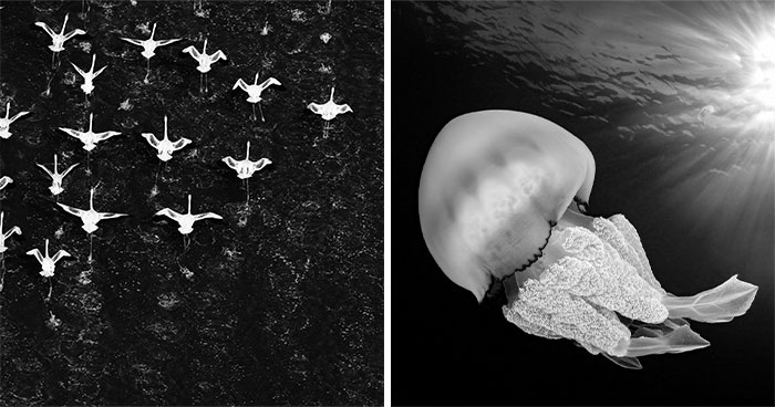 45 Breathtaking Aerial And Underwater Photos From The Exposure One Awards