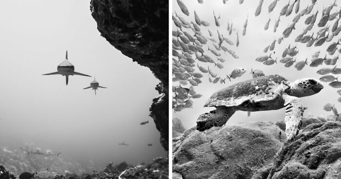 These 45 Aerial And Underwater Photos From Exposure One Prove The Best Views Are Found In The Oddest Places