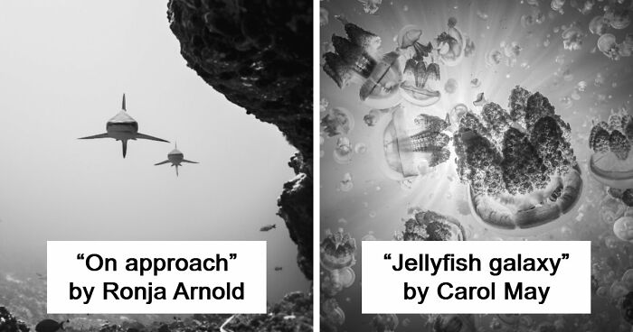 These 45 Aerial And Underwater Photos From Exposure One Prove The Best Views Are Found In The Oddest Places