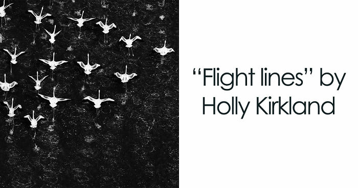 45 Breathtaking Aerial And Underwater Photos From The Exposure One Awards