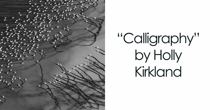 45 Breathtaking Aerial And Underwater Photos From The Exposure One Awards