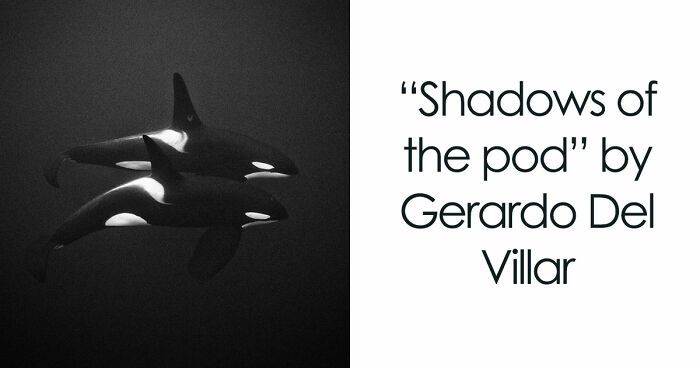 45 Breathtaking Aerial And Underwater Photos From The Exposure One Awards