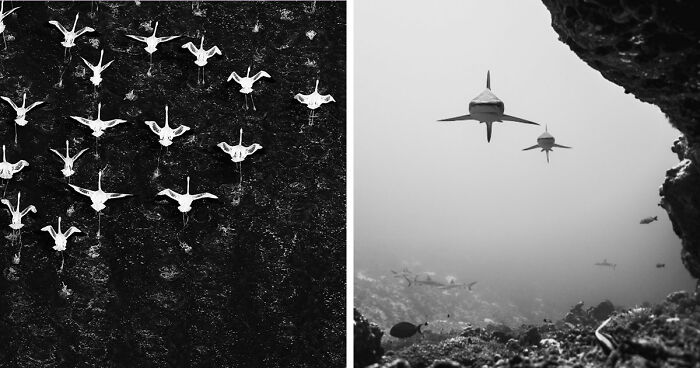 45 Breathtaking Aerial And Underwater Photos From The Exposure One Awards
