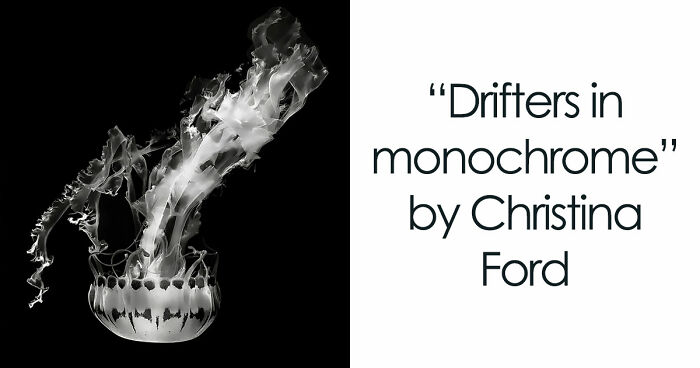 These 49 Black & White Nature Photos Prove You Don’t Need Color To Feel The Moment