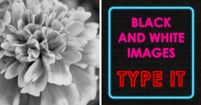 Guessing These 26 Items In Black & White Images Might Be More Difficult Than You’d Think