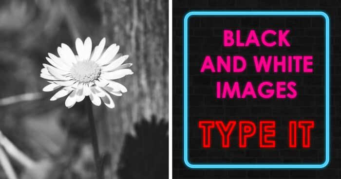 Guessing These 26 Items In Black & White Images Might Be More Difficult Than You’d Think