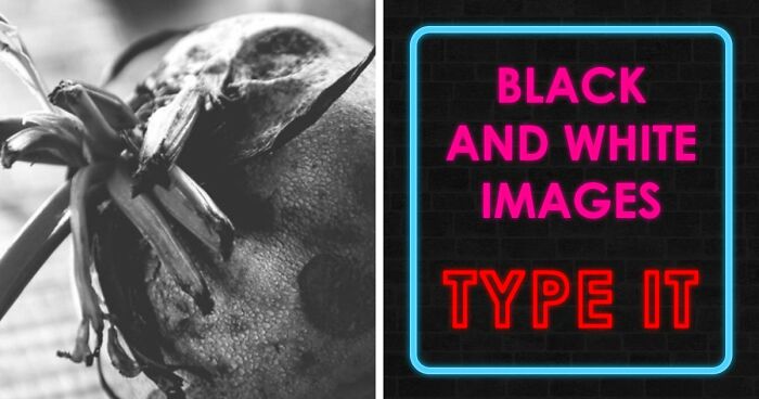 Guessing These 26 Items In Black & White Images Might Be More Difficult Than You’d Think