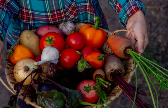 Child holding a basket of fresh vegetables, illustrating boomer opinions on gardening and traditional food practices.