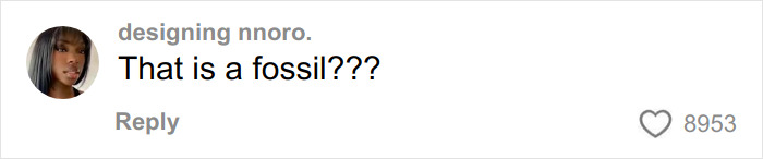 Comment on social media saying That is a fossil with 8,953 likes about viral Dior handbag Vinted listing.