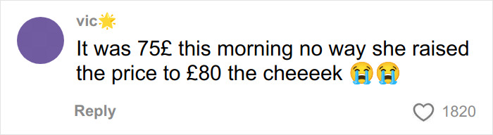 Comment on a viral Vinted listing discussing price change for a Dior handbag, highlighting strong emotional reactions.