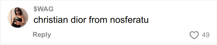 Comment on social media mentioning christian dior in a viral, unhinged Vinted listing for a Dior handbag.