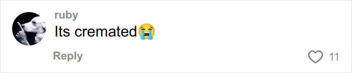 Comment reading Its cremated with a crying emoji, part of a viral unhinged Vinted listing for a Dior handbag.