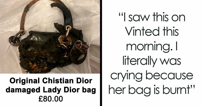 “It’s Cremated”: Unhinged Vinted Listing For A Dior Handbag Goes Viral — And People Can’t Keep It Together