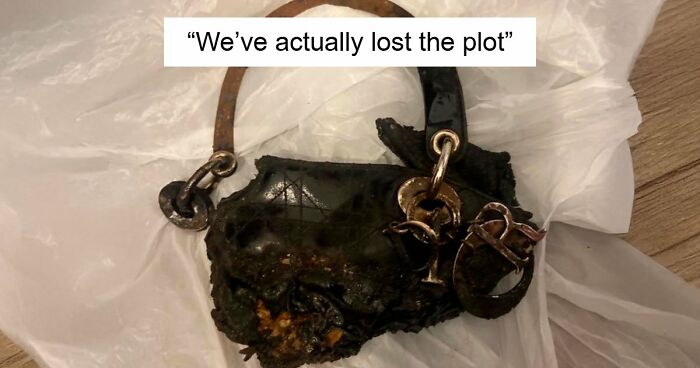 “It’s Cremated”: Unhinged Vinted Listing For A Dior Handbag Goes Viral — And People Can’t Keep It Together