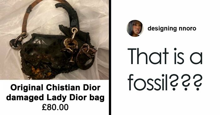 Someone Puts A Dior Handbag For Sale On Vinted, Accidentally Goes Viral