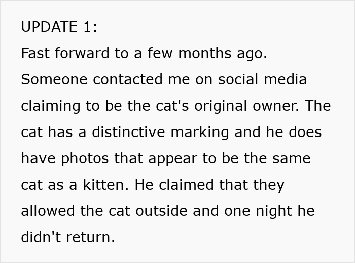 Text update about a lost cat&rsquo;s original owner contacting via social media with matching photos and markings.