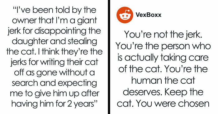 Cat Owner Receives A Demand From Cat’s “Original Owners” To Pay Out “Moral Damage”, Suspects A Scam