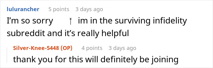 Screenshot of a Reddit conversation about surviving infidelity, relating to a dad&rsquo;s mistress texting his adult daughter.